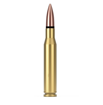 7.62 x 51 mm